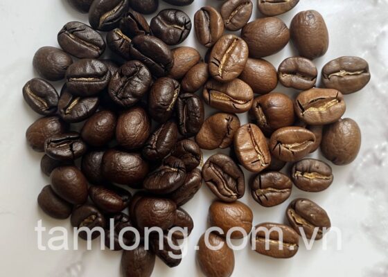 hạt cà phê arabica