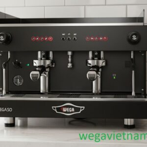 Máy pha cà phê Wega Pegaso 2 Group